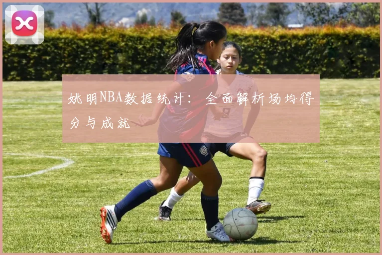 姚明NBA数据统计：全面解析场均得分与成就