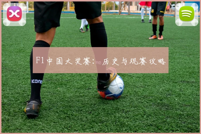 F1中国大奖赛：历史与观赛攻略