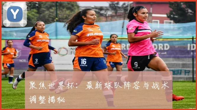 聚焦世界杯：最新球队阵容与战术调整揭秘